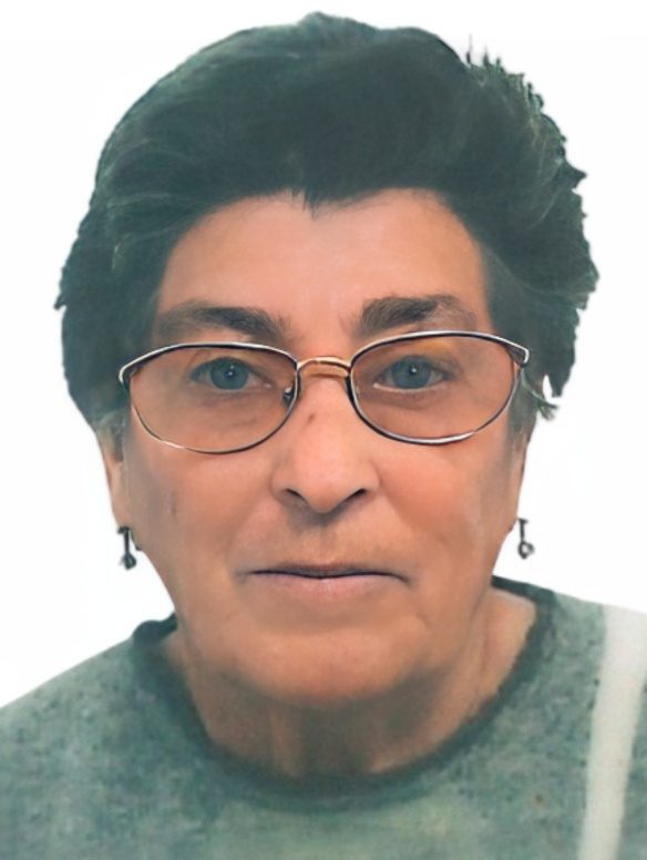 Imagem WhatsApp 2025-11-07 às 09.36.01_050c2cf4